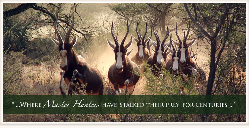 Fort Richmond Safaris